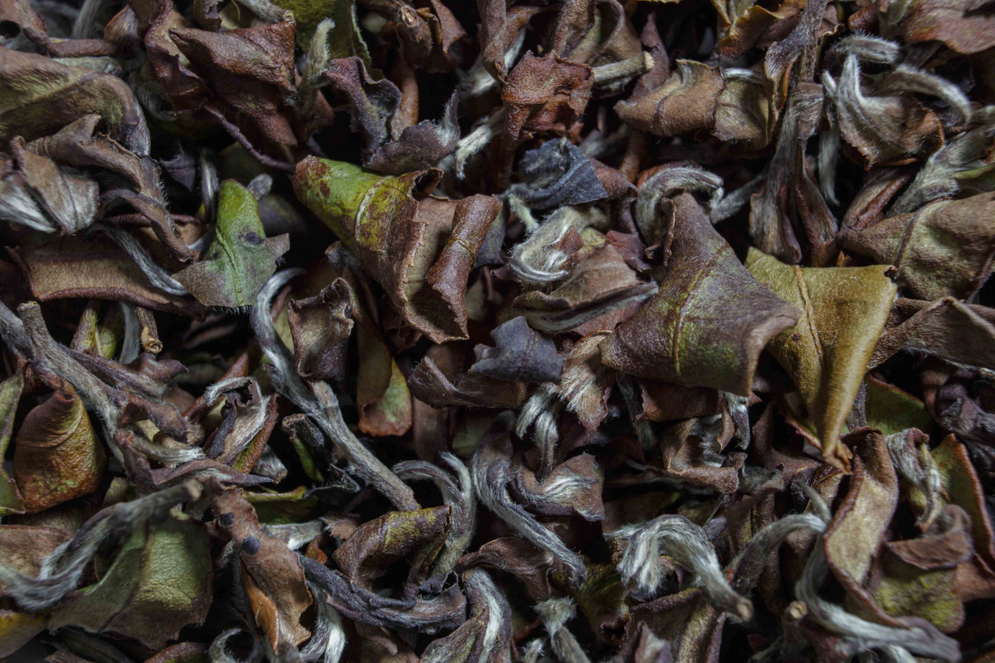 2020 Honey White Tea -Winter (Dong Pian 冬片)